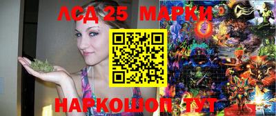 mdpv Кандалакша