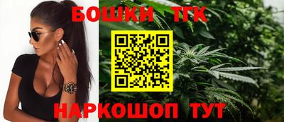 мдпв Камышлов