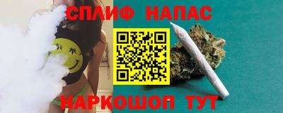 мдпв Камышлов