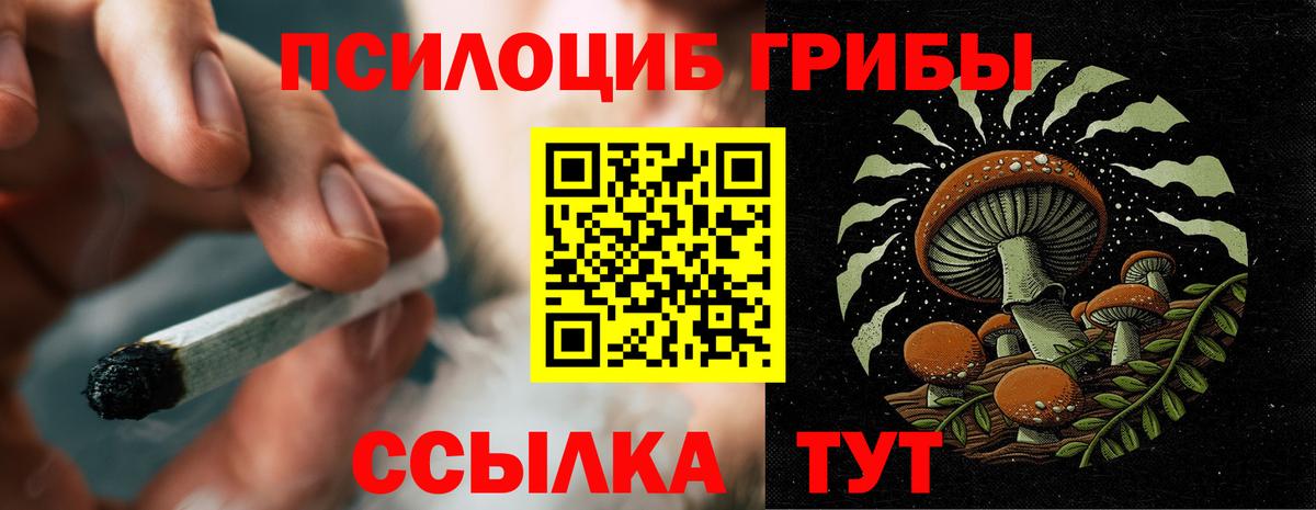 Красный Сулин  Галлюциногенные грибы прущие грибы  Галлюциногенные грибы Psilocybine cubensis  Вход с VPN 